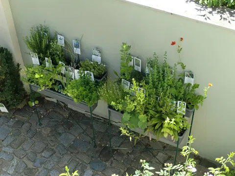 Kräutergarten