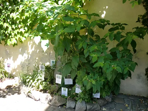 Kräutergarten