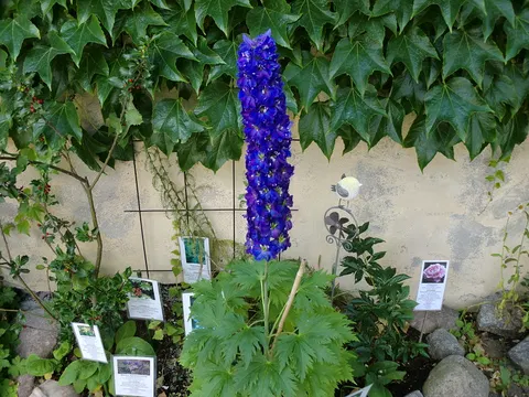 Kräutergarten