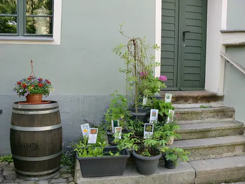 Kräutergarten