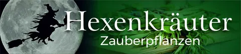 Von Heilerinnen und Pflanzengöttinnen