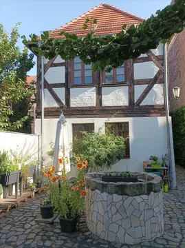 Besuch aus Amerika