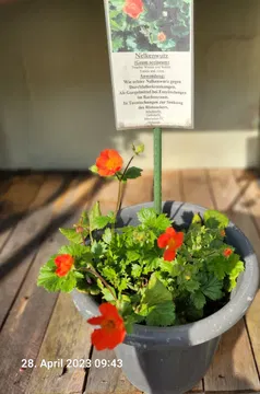 Kräutergarten Hof