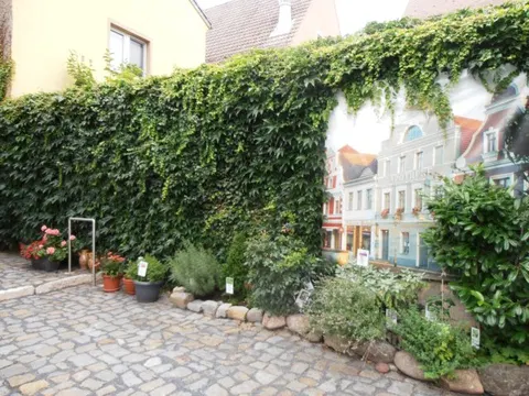 Der Kräutergarten im Apothekenmuseum