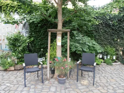 Der Kräutergarten im Apothekenmuseum