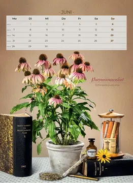 Der besondere Apothekenkalender 2027 im Hochformat