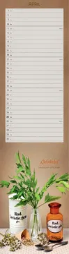 Der besondere Apothekenkalender 2027 im Postkartenkalenderformat