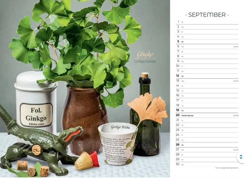 Der besondere Apothekenkalender 2027 im Querformat