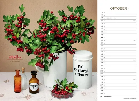 Der besondere Apothekenkalender 2027 im Querformat