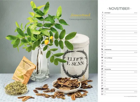 Der besondere Apothekenkalender 2027 im Querformat