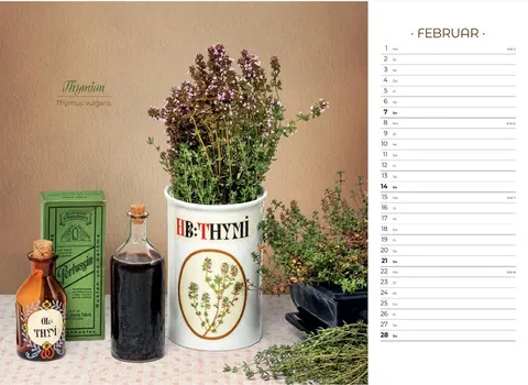 Der besondere Apothekenkalender 2027 im Querformat