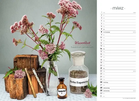 Der besondere Apothekenkalender 2027 im Querformat