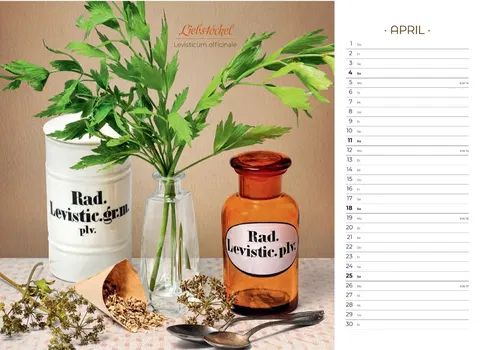 Der besondere Apothekenkalender 2027 im Querformat