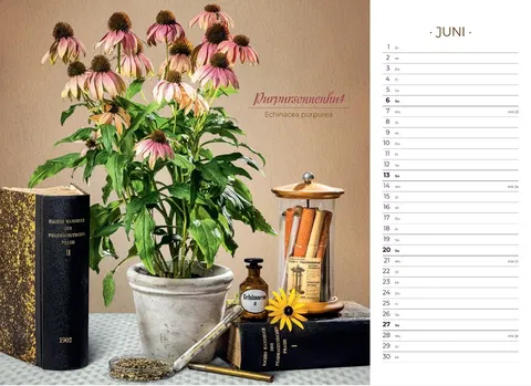 Der besondere Apothekenkalender 2027 im Querformat