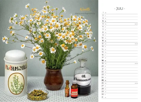 Der besondere Apothekenkalender 2027 im Querformat